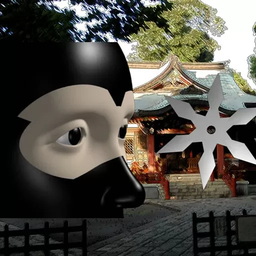 Ninja Academy: Master of Shadows